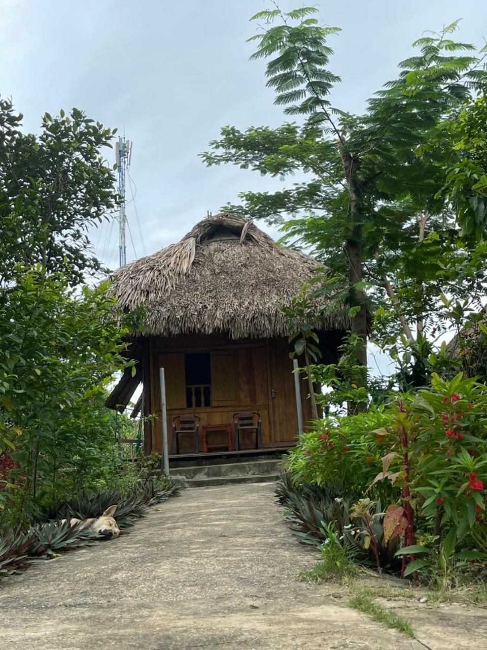 Cuc Phuong Bungalow Nho Quan Exterior foto